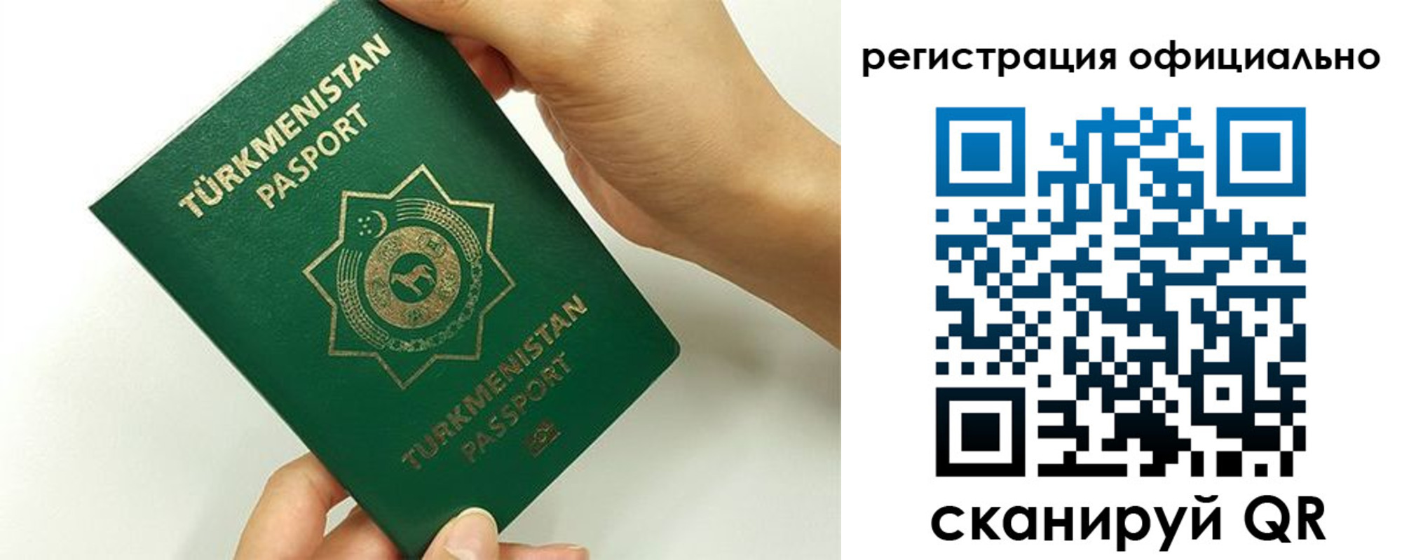прописка поиск в Арсеньеве