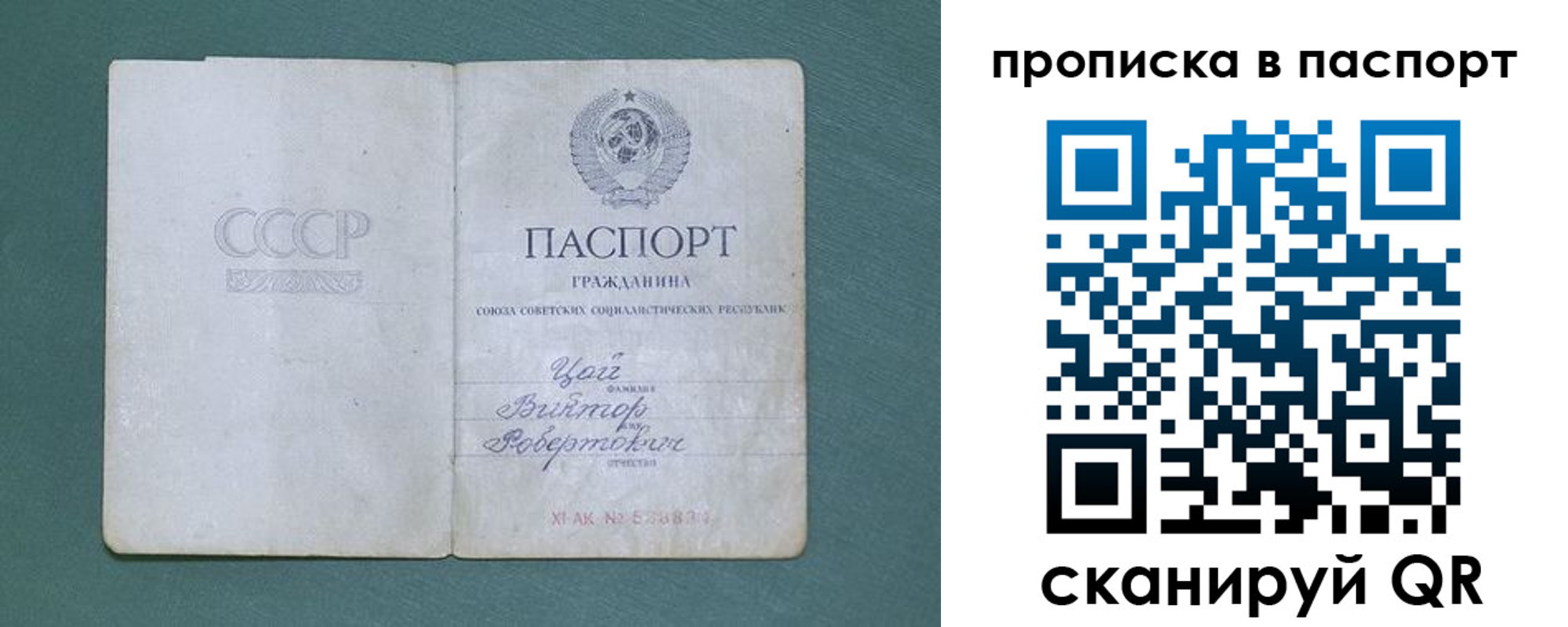 пропишу в квартире в Арсеньеве